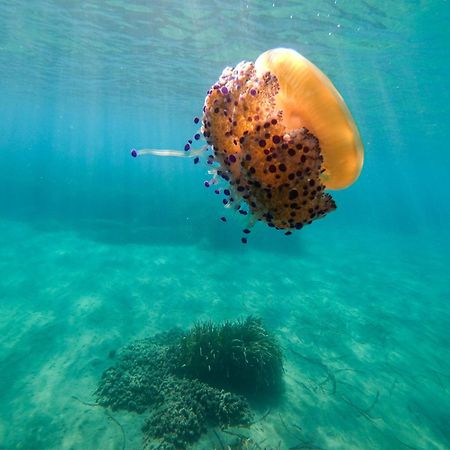 Complejo Turistico Los Bayiyos Agua Amarga  Esterno foto