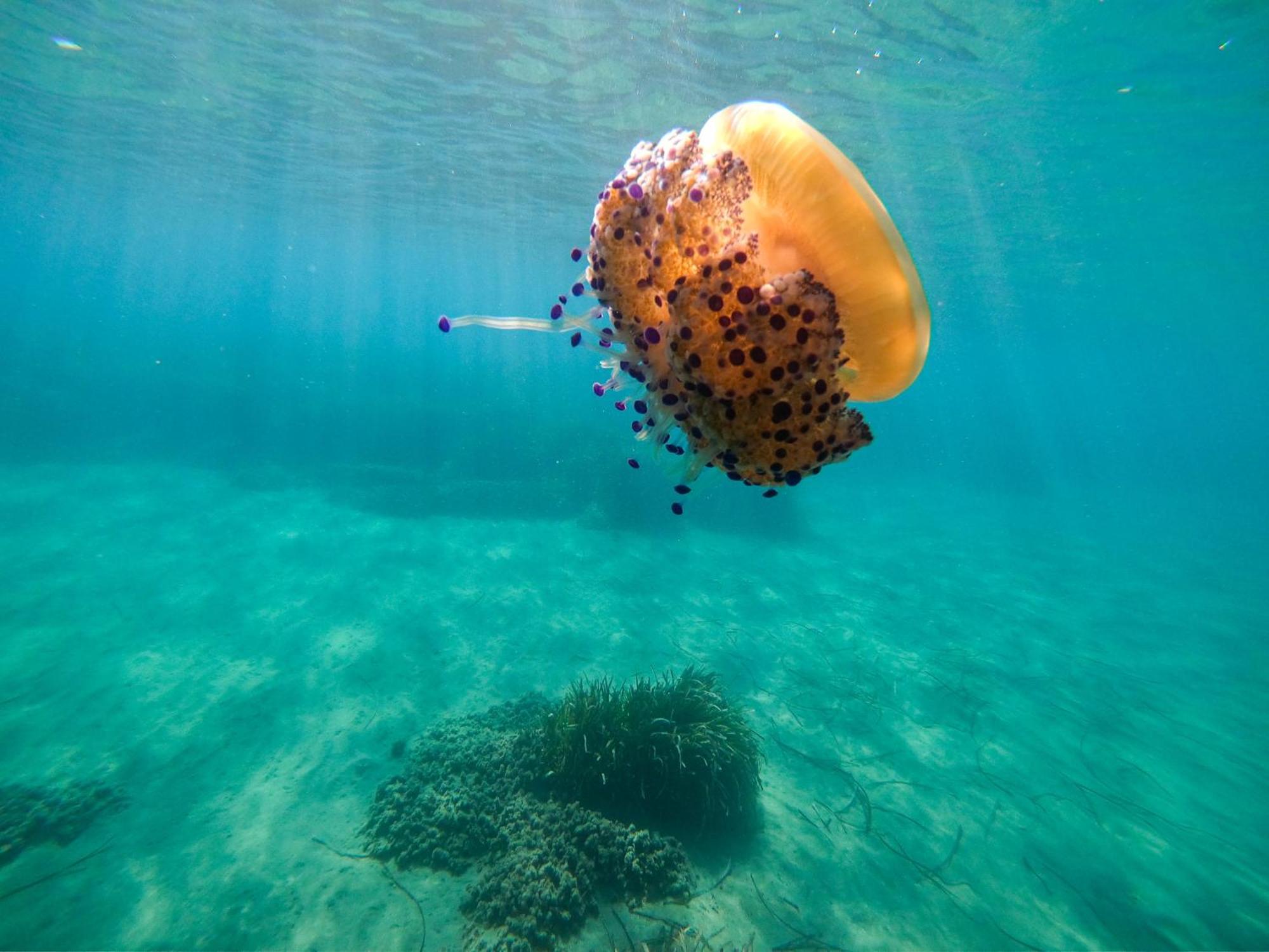 Complejo Turistico Los Bayiyos Agua Amarga  Esterno foto